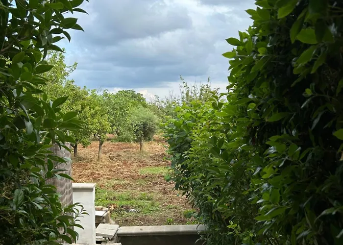 Il Trullo Di Margherita *