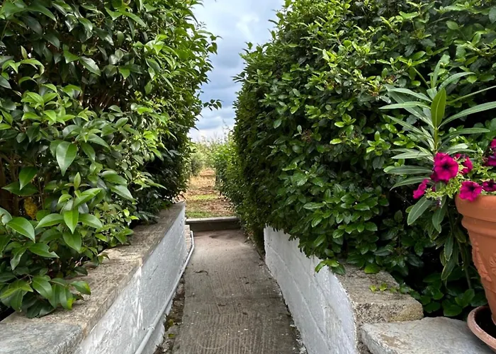 Il Trullo Di Margherita Semesterbostad Monopoli