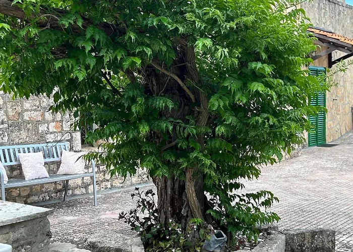 Il Trullo Di Margherita