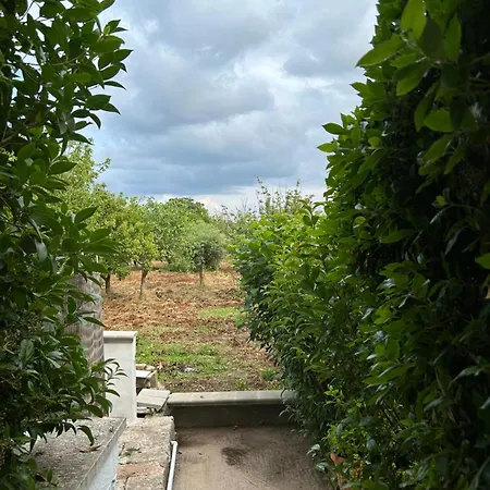 Il Trullo Di Margherita *